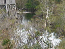 dsc00622